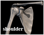 dorn shoulder selfhelp exercise